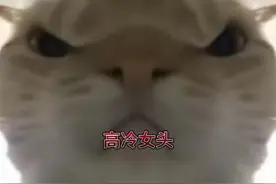 高冷女头视频封面