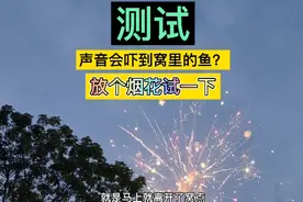 声音对鱼的影响视频封面