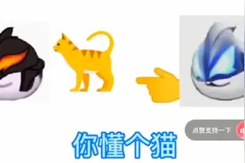 你懂个毛，你懂个屁。你懂个买， 叫爸捷德。视频封面