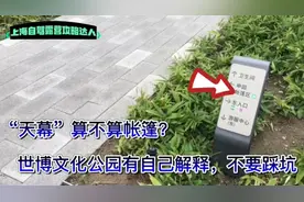上海80后露营日记，世博文化公园露营新规定，避坑指南注意收藏视频封面