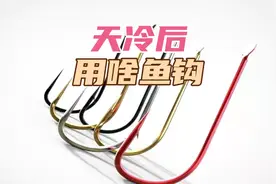 天已冷，垂钓用钩要讲究了！袖钩、秋田狐、溪流三种钩型使用对比视频封面