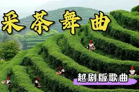 《采茶舞曲》，浙江民歌，人美歌甜，爽心悦耳。视频封面