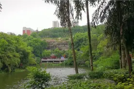 考察九龙坡区：江山多娇城，龙凤呈祥地。九龙坡区文化底蕴深厚…视频封面