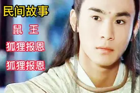 民间故事 鼠王 （狐狸报恩）一夫三妻视频封面