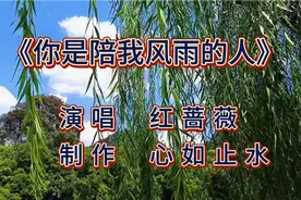 一路的风雨漂泊，感谢你陪我走过一程又一程，度过每个春夏秋冬！视频封面