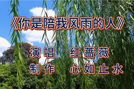 一路的风雨漂泊，感谢你陪我走过一程又一程，度过每个春夏秋冬！视频封面