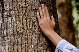五行与身体部位对应关系（详细）视频封面