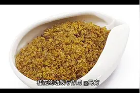 桂花的功效与作用@中视频伙伴计划官号 @西瓜创作研究中心视频封面