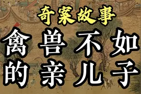 奇案故事：认下的干儿子被人怀疑夺家产，谁知道亲儿子才是白眼狼视频封面