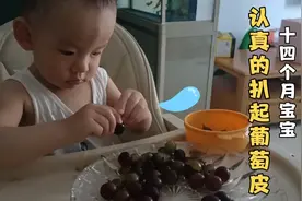 14月宝宝模仿妈妈的样子扒葡萄皮，最后抱起比脸都大玻璃盘子舔舔