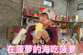 北京夫妻自驾粤西：徐闻必去菠萝的海！二块钱一个，清甜无渣！视频封面