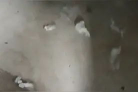 用途广泛的太空棉视频封面