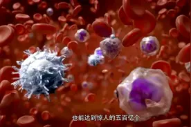 疫情后时代，动画大片带你探秘人体血液循环视频封面