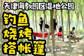 自驾游天津海教园，发现能钓鱼烧烤露营的小树林，边钓边烤太爽了视频封面
