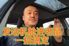 教你一招搞定，汽车发动机舱进老鼠视频封面