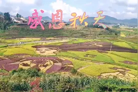 金秋十月，如梦如幻October，goldendream