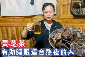 那种灵芝最好呢？野生灵芝这样煮水最好，灵芝茶适合熬夜的人视频封面