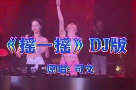 一首超好听的，DJ舞曲《摇一摇》 中文DJ版。视频封面
