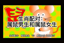 生肖配对：属鼠男生和属鼠女生视频封面