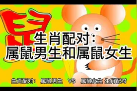 生肖配对：属鼠男生和属鼠女生视频封面