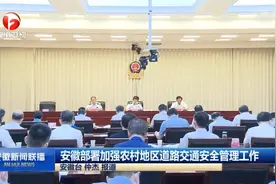 安徽部署加强农村道路交通安全管理工作 郑栅洁、王清宪作批示视频封面
