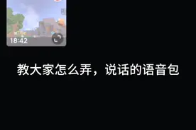 教大家如何用语音包，自己看