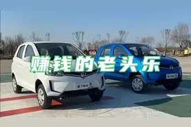 靠老头乐赚的钱都去哪了，雷丁汽车创始人李国欣背后的现实视频封面