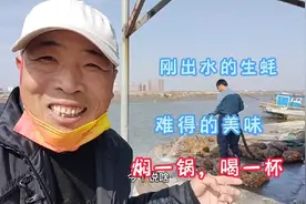老桑自己焖一锅生蚝，喝点朋友送的鹿鞭酒，这小生活真滋润呐视频封面