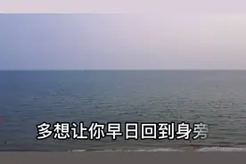 《宝岛台湾》欢迎回家