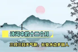 【诗词】描写一至十二月的经典诗句，优美，如画视频封面