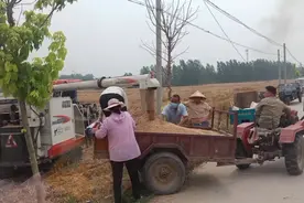 安徽省皖北农村，天快下雨了，真实农村抢收抢种场面视频封面