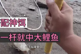 野钓王：搭配出神饵，第一杆2分钟就中一尾大鲤鱼，今天又大丰收视频封面
