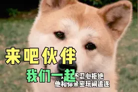 这个狗狗有特异功能，它能预测即将到来的危险，然而却没人读懂它视频封面