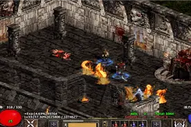 暗黑破坏神2恶趣味的BUG，佣兵小哥头像消失，本体还在玩命战斗！