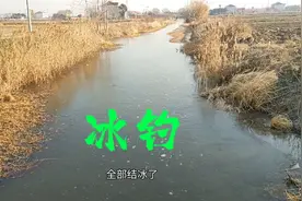 零下6度，竹篙敲冰洞，钓鱼不怕冷！视频封面