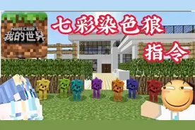 我的世界指令教程：狼竟然能染色？还不会的你快来学学吧！