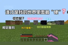 《我的世界》谁才是我的世界里面最“硬”的？中间有彩蛋哦！