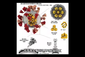 一起了解：新冠肺炎病毒-德尔塔（Delta）变异株视频封面