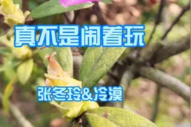 张冬玲&冷漠《真不是闹着玩》两颗心，紧紧相连，真不是闹着玩。视频封面