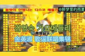 韩国音乐: 김영숙 가요메들리(金英淑 歌谣联唱集锦)