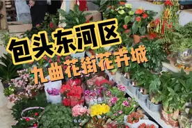实拍内蒙古包头市东河区，九曲花街花卉城，看看花卉城什么样视频封面