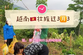越南🇻🇳壮族过三🈷️三， 扫墓， 上坟， 和中国壮族什么区别。视频封面