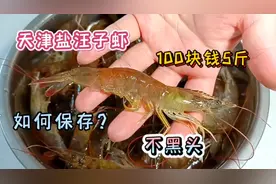囤虾别错过！天津盐汪子虾这样保存新鲜不黑头，您家如何保存虾？