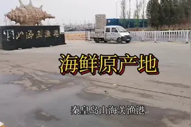 秦皇岛山海关渔港，皮皮虾大量上货，看看皮皮虾好不好视频封面