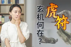 小小虎符能调兵百万，伪造一个不管用吗？别小瞧了其中的玄机视频封面