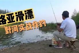 野钓全能钓组—路亚滑漂真饵拖底钓组，实战挂蚯蚓和麦粒鱼都上钩视频封面