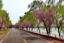 山东济南黄河沿岸风景如画！黄河大堤玉清湖一路皆美景！路过看看视频封面