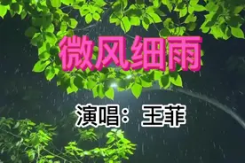 王菲演唱歌曲《微风细雨》：微风伴着细雨，像我伴着可爱的你…视频封面