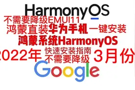 2022年鸿蒙系统安装谷歌框架华为鸿蒙手机和荣耀手机直装谷歌教程视频封面