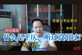 到底什么是平仄，为什么我们经常听到却没用过？视频封面